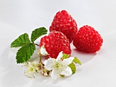 Three raspberries with leaves and flowers
