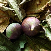 Red figs
