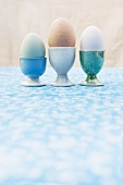 Three eggs (green, brown, white) in egg cups