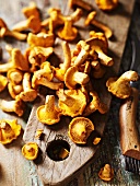 Chanterelle mushrooms on a wooden board
