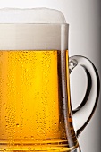 A tankard of freshly tapped beer