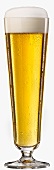 A glass of pils