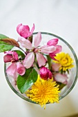 Spring flowers in a glass of water