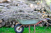 Schubkarre im Garten vor gefällten Baumstämmen und Zweigen im Miniaturstil