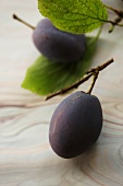 Plums with leaves