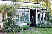 Verwunschenes Idyll - mit Rankpflanzen bewachsener Wintergarten-Vorbau mit abgeblätterten Fensterrahmen