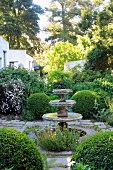 Paved area with stepped stone fountain surrounded by box balls amongst lushly planted shrubbery