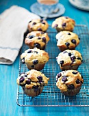 Blueberry muffins on a cake rack