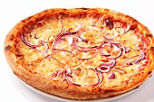 Onion pizza