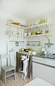 White and green stacked crockery on corner shelves and playful dog in bright, sunny kitchen