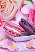 Pink and purple macaroons surrounded by rose petals