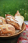 Verschiedene rustikale Brote im Brotkorb auf Picknicktisch