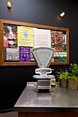 Vintage scales and pots of herbs on stainless steel worksurface in front of black-painted wall