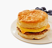 Sausage Egg and Cheese Breakfast Sandwich on a Biscuit; White Background