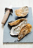 Oysters with an oyster knife