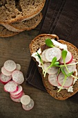 Whole Wheat Bread Topped with Cream Cheese and Radishes