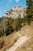 Hiking trail in the mountains (Wendelstein, Germany)