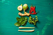 Ingredients for tom ka gai (Thai chicken and coconut soup)