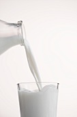 Milk Pouring From a Bottle into a Glass