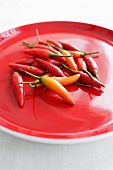 Fresh chilli peppers on a red plate