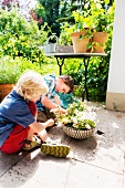 Zwei Jungen mit Topfpflanzen auf Terrasse