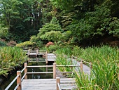 Einfacher Holzsteg an einem Teich in idyllischer Umgebung (Tea Garden, Portland)