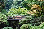 Kleine Holzbrücke im traditionell japanischen Stil (Tea Garden, Portland)