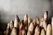 White Asparagus Spears with a Grey Background