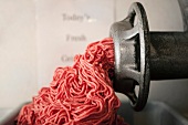 Raw Ground Beef Falling from a Meat Grinder