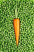 A carrot lying on a bed of peas (seen from above)