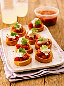 Bruschetta with tomato salsa and cheese