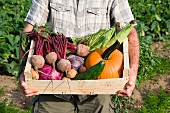 Man holding wooden create of freshly farmed vegetables