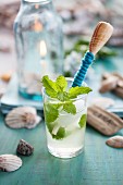 Carbonated lime drink with peppermint