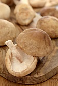Shiitake mushrooms on a wooden board