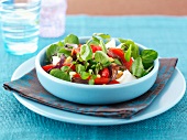 Pepper salad with goat's cheese