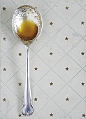 A spoon of honey