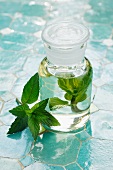 A bottle of peppermint oil and fresh mint