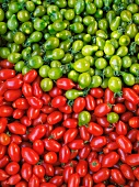 Red and green tomatoes (full frame)