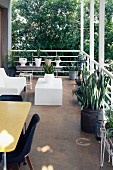 Designer furniture and planters on balcony