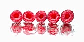A row of raspberries on a wet mirror