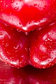 A wet red pepper (close-up)