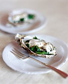 Oyster in garnished shell ,