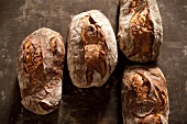 Four loaves of country bread