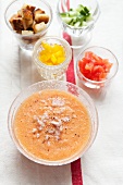 Gazpacho mit Zutaten