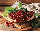 A basket of cherries with leaves