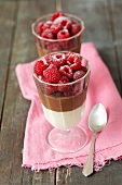 Two-tone chocolate mousse topped with raspberries