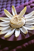 Camembert dip with chicory