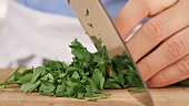 Parsley being chopping (close-up)