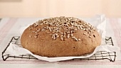 Sunflower seed bread