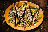 Platter of Grilled Sardines with Lupini and Fava Beans; From Above